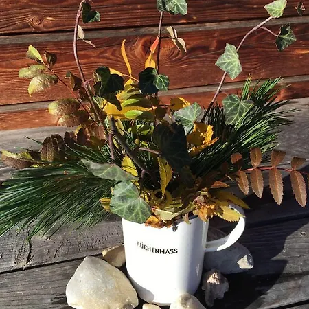 Almhuette-gipper Feriehus *