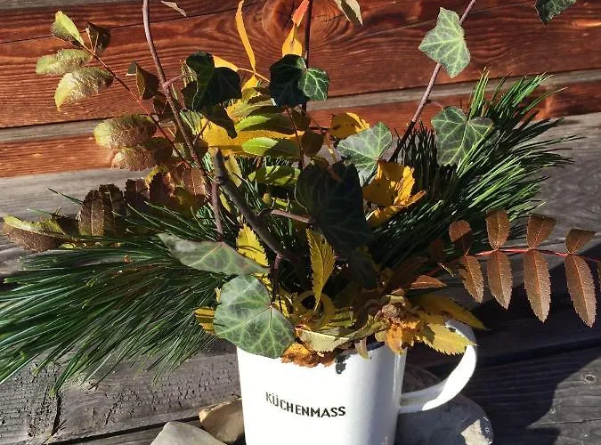 Almhuette-gipper Holiday home *