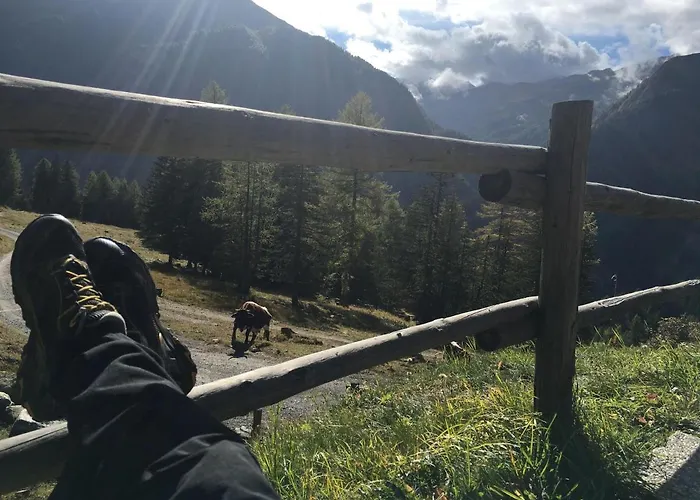 Almhuette-gipper Holiday home